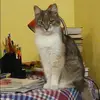 Отзыв от Мария Колесникова